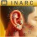 CURSO ONLINE DE ACUPUNTURA AURICULAR (AURICULOTERAPIA) 