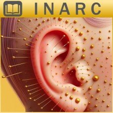 CURSO ONLINE DE ACUPUNTURA AURICULAR (AURICULOTERAPIA) 