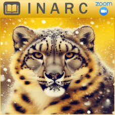 Curso por Zoom de Empoderamiento de Leopardo de Nieve