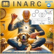 Curso por Zoom de Mesa Radionica para Animales