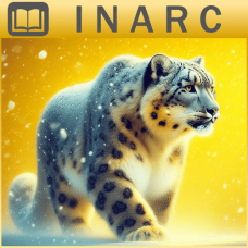 Curso Online de Empodeamiento Leopardo de Nieve