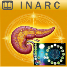 Curso Online de Mesa Radionica de Sanacion de Diabetes