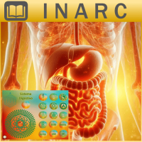 Curso Online de Mesa Radionica del Sistema Digestivo 1