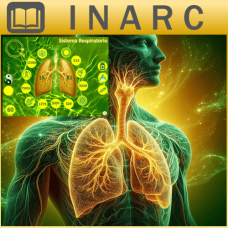 Curso Online de Mesa Radionica Sistema Respiratorio