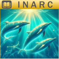 Curso Online de Vibración Delfín Diamante